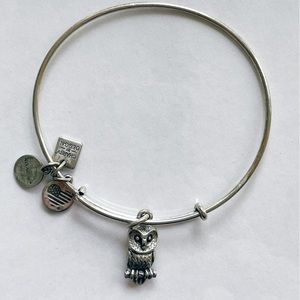 Alex and Ani Silver Owl Charm Bangle Bracelet